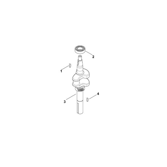 Picture of D - Albero a gomito XT-800 (XT800-0032)